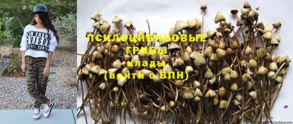 экстази Тавда